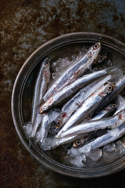 Raw fresh anchovies fishes