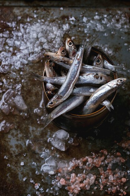 Raw fresh anchovies fishes