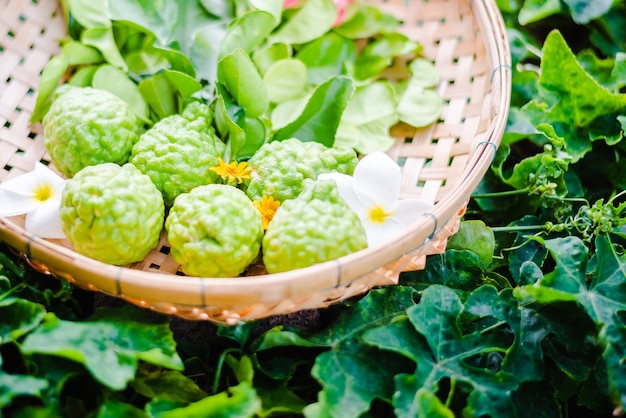 Raw fresh bergamot in basket