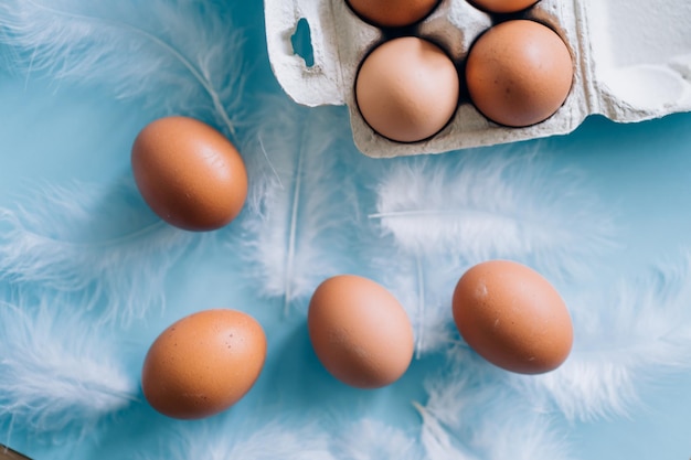 Raw fresh brown chicken eggs and white fluffy birds feathers on light blue background. Selective focus. Organic food, healthy eating, dieting, farm products, happy Easter concept. Copy space.