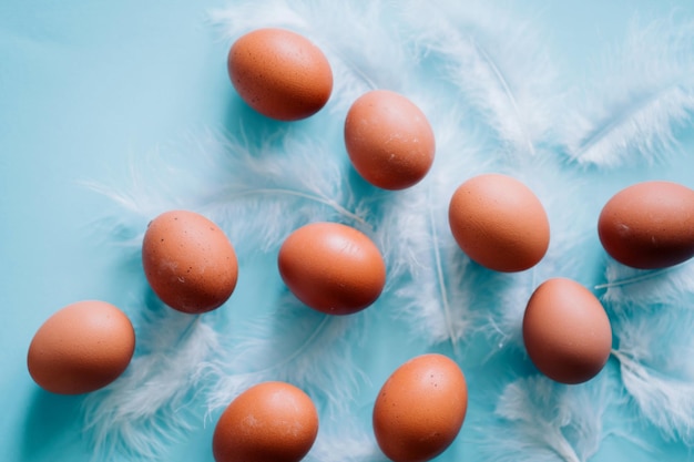 Raw fresh brown chicken eggs and white fluffy birds feathers on light blue background. Selective focus. Organic food, healthy eating, dieting, farm products, happy Easter concept.