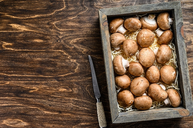 Raw Fresh champignon mushrooms