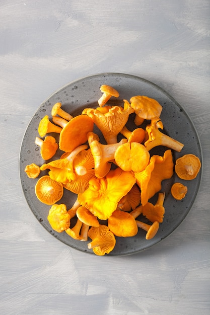 Raw fresh chanterelle mushrooms on gray