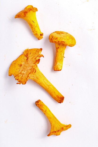 Raw fresh chanterelle mushrooms on a white. Top view