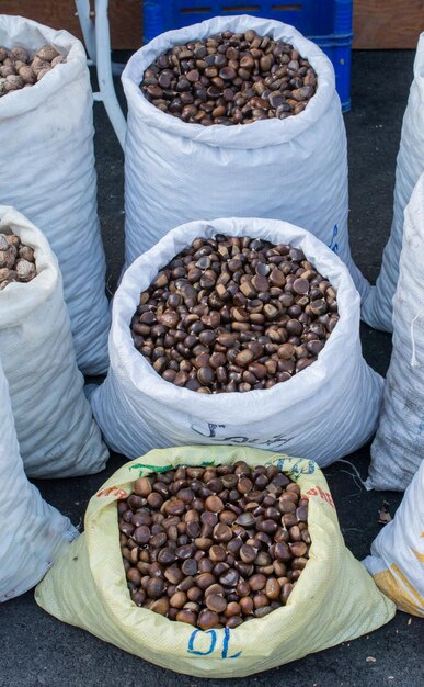 Raw fresh chestnut for ready for sale