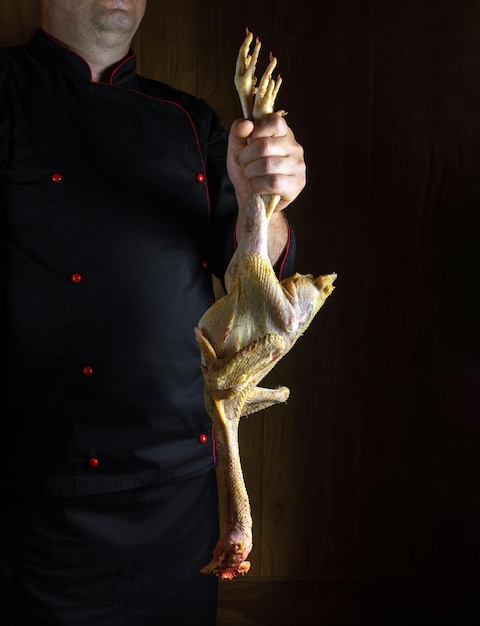 Photo raw fresh chick in the hand of a cook in a restaurant kitchen choosing a rooster before preparing a meat dish concept of chicken menu for restaurant or hotel