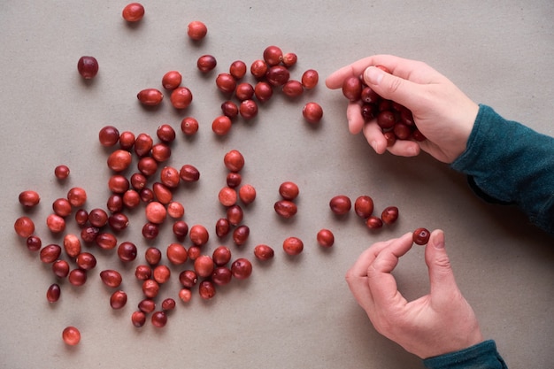 Raw fresh cranberry berry, view from above. Cranberry wall, top view, flat lay on craft paper. Cranberries scattered on recycled brown paper, female hands holding handful of berry..