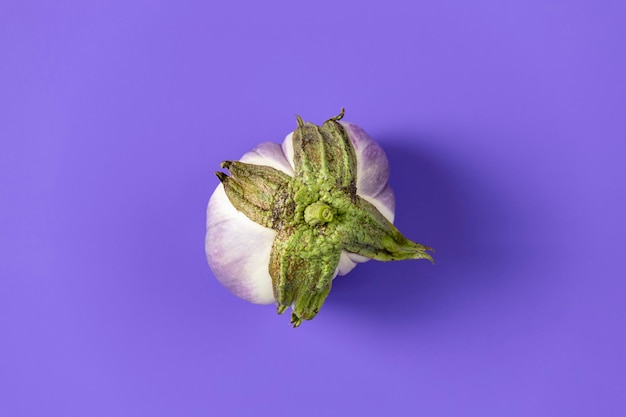 Raw fresh eggplant on violet background concept of green house life style and products of subsistence farming flat lay