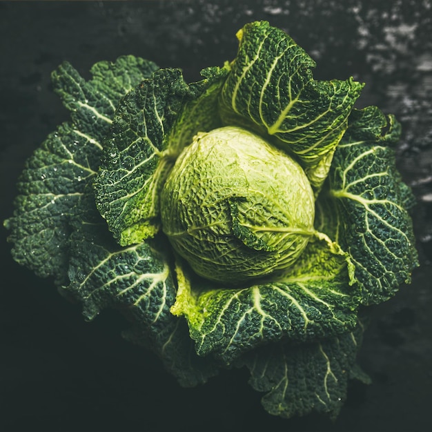 Raw fresh green cabbage over dark background square crop