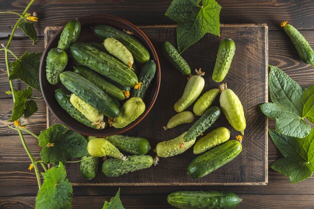 Raw fresh green and white cucumbers in ceramic plates on dark wooden background concept of greenhouse lifestyle and products of subsistence farming flat lay top view