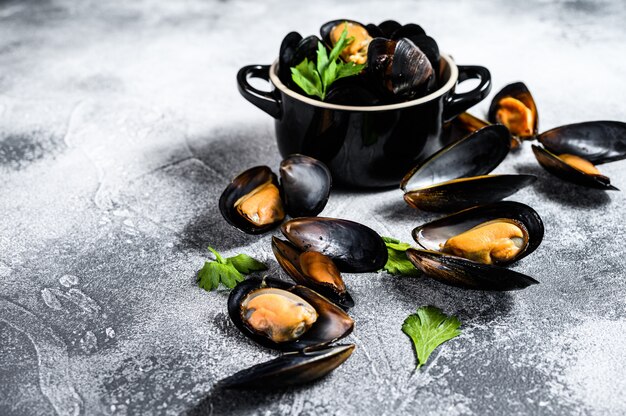 Raw fresh mussels in shells.