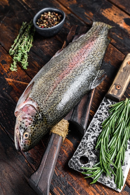 Raw fresh Rainbow trout fish with herbs