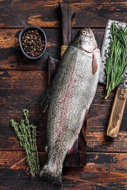 Raw fresh Rainbow trout fish with herbs.