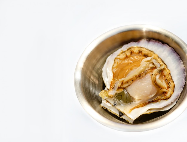 Raw fresh scallop on white background