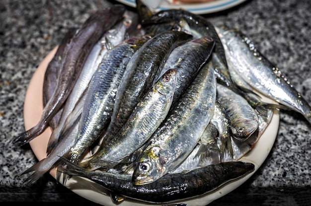 調理する準備ができている生の新鮮なシーフード。エビ：赤いエビ;ツナ;ドラダ魚、イワシ。シーフードのコンセプト