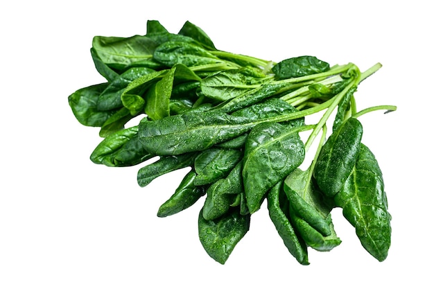 Raw fresh spinach leaves on a stone table Isolated on white background