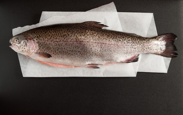 黒の背景に生の新鮮なマス魚