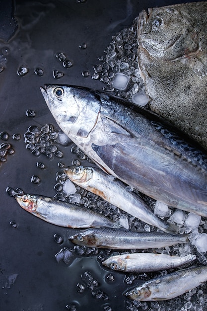 Raw fresh tuna, herring and flounder fish