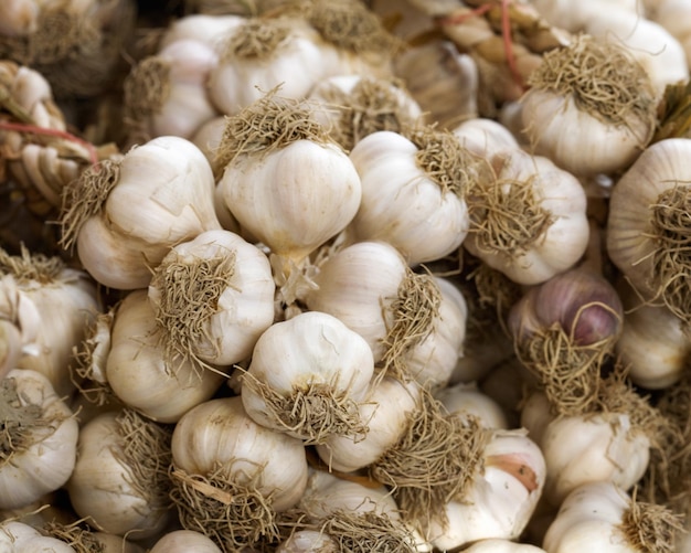 Raw garlic bunches on the market in Turkey