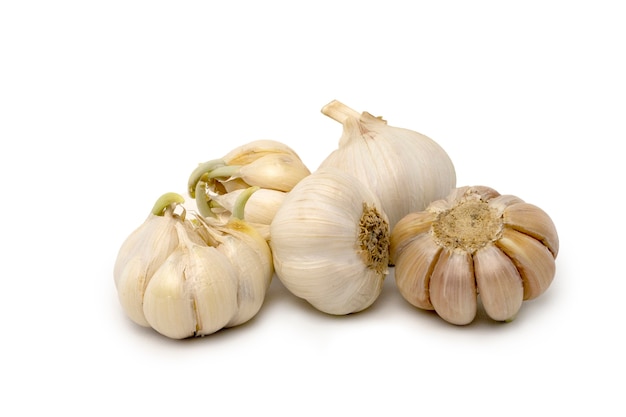 raw garlic isolated on white background