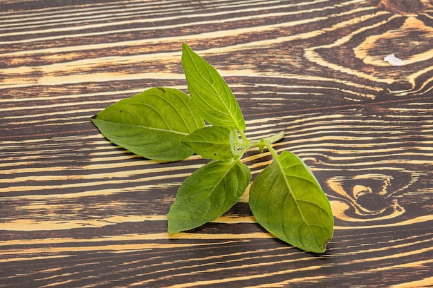 Raw green basil leaves seasoning aroma