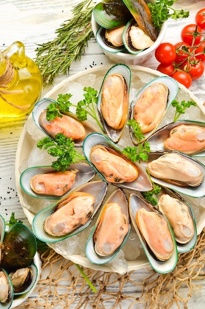 Raw green large mussels with spices on ice The clams are ready for dinner Free space for text