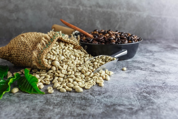 Raw green unroasted coffee beans in brown sacks and roasted coffee beans in a pan