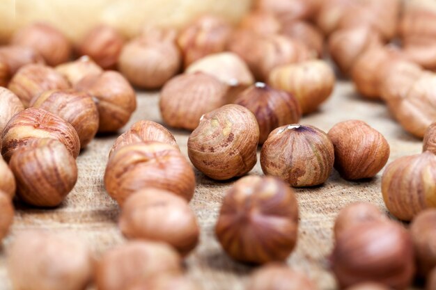 raw hazelnuts