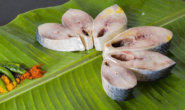 Raw hilsa fish cut into pieces kept on banana leaf for cooking shot taken in studio with copy space background and spices