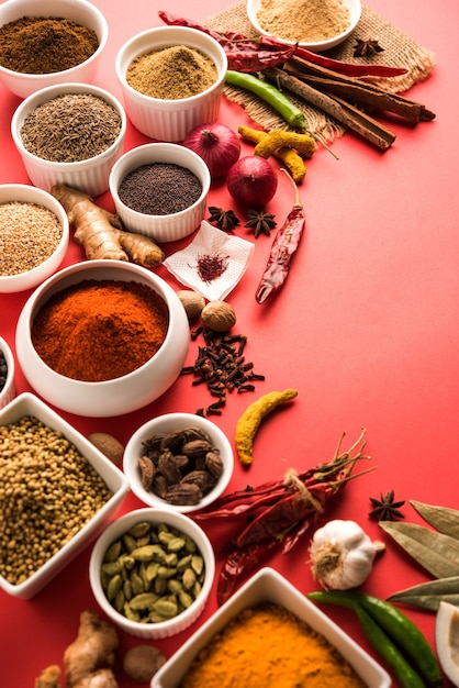 Raw Indian Spice Powder in witte kommen over kleurrijke achtergrond, selectieve focus