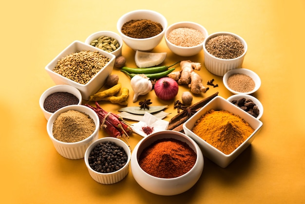 Raw Indian Spice Powder in witte kommen over kleurrijke achtergrond, selectieve focus