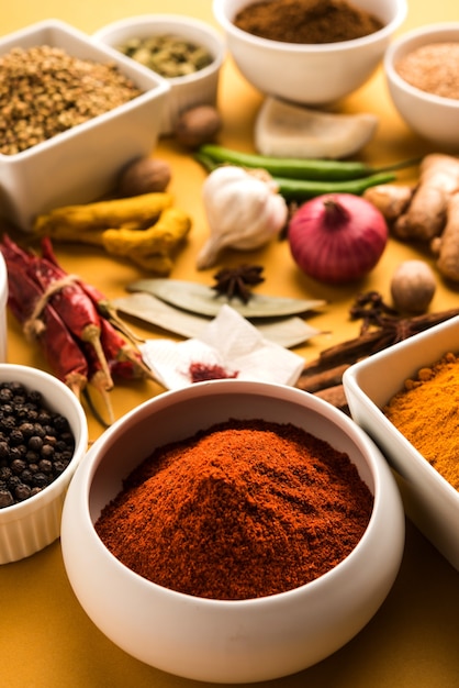 Raw Indian Spice Powder in white bowls over colourful background, selective focus