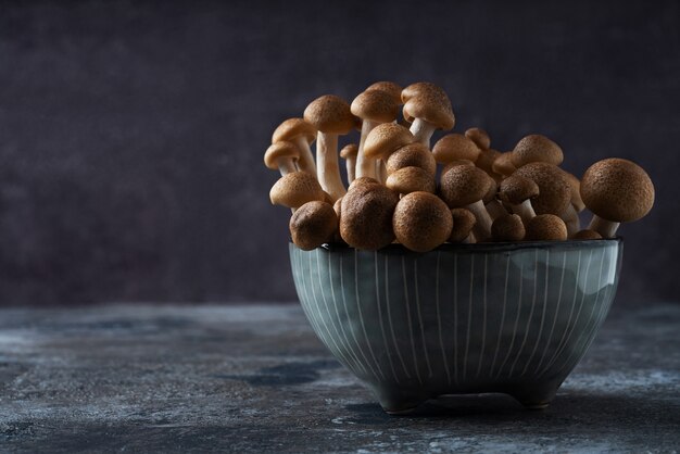 Raw japanese mushroom shimeji in ceramic bowl. Food ingredient