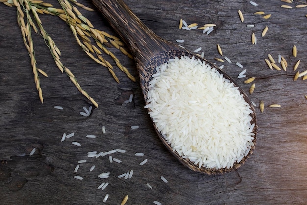 Raw Jasmine Rice in wooden spoon and the ears of rice rests on the old wooden floor