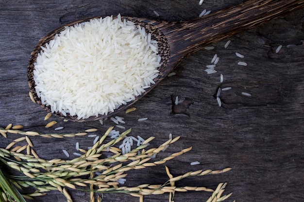 Raw Jasmine Rice in wooden spoon and the ears of rice rests on the old wooden floor