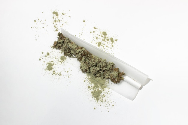 Raw joint sprinkled with kief on a white background Crushed buds of medical marijuana in rollup paper filter