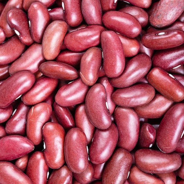 Raw kidney beans close up