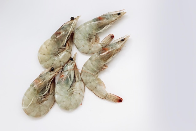 Raw large king prawns on a plate