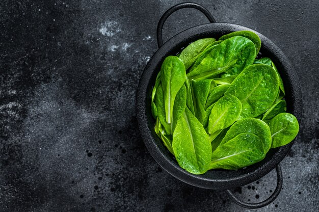 Raw leaves of romaine lettuce in colander