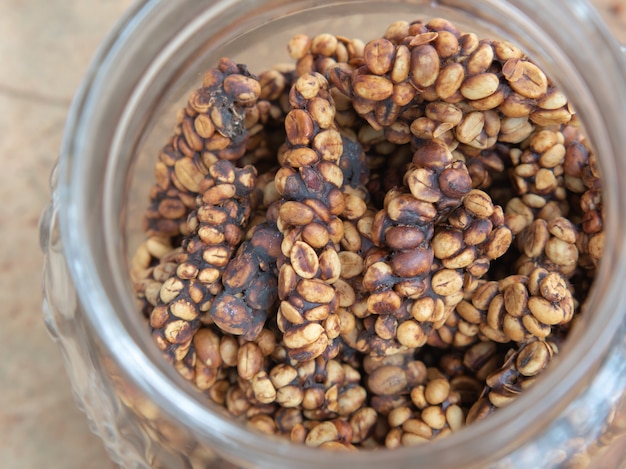 Raw luwak coffee beans before roasting are the most expensive coffee beans in the world