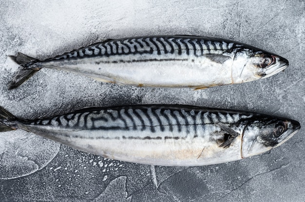 Фото Сырая скумбрия рыба. свежие морепродукты. вид сверху