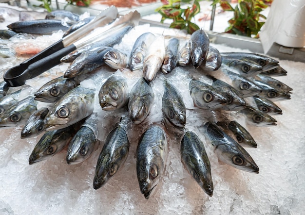 Raw of Mackerel, Saba fish stacked freeze the ice on stall in supermarket