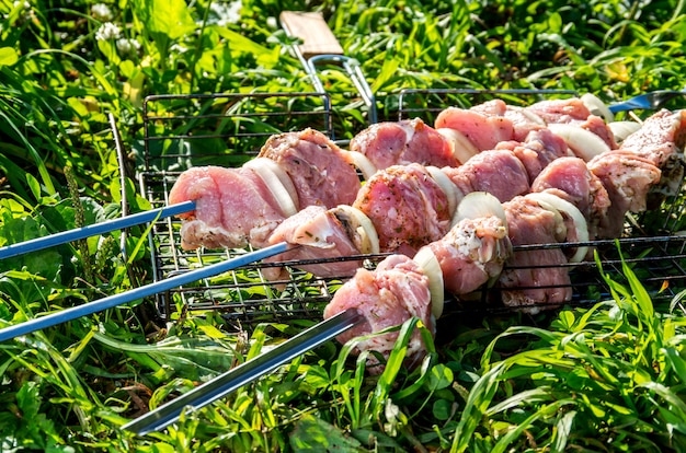 写真 草の串焼き生肉