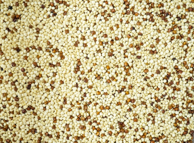 Foto quinoa mista cruda per sfondo e testo. superfood sano e dietetico.