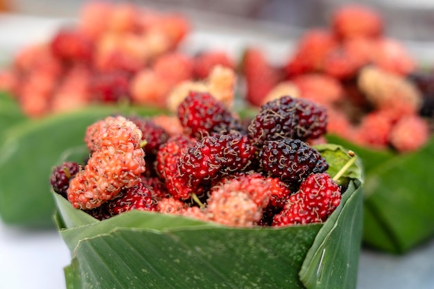 Raw mulberry for sale on street market in Thailand Tropical fruit close up