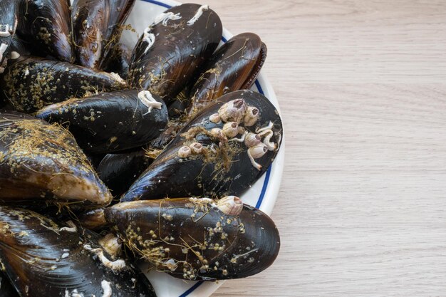 Raw mussels close-up on a plate