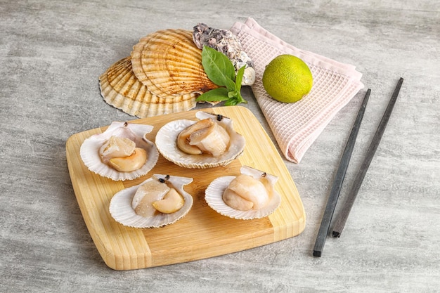 Raw natural scallop in its shell ready for cooking