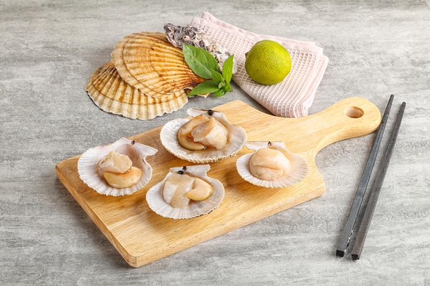 Raw natural scallop in its shell ready for cooking