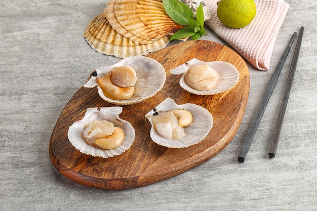 Raw natural scallop in its shell