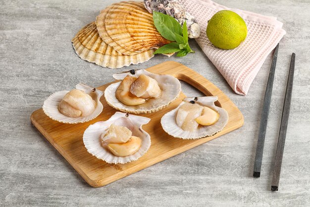 Photo raw natural scallop in its shell
